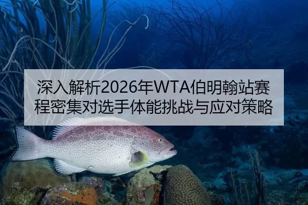深入解析2026年WTA伯明翰站赛程密集对选手体能挑战与应对策略